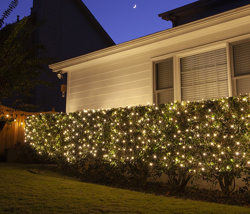 Professional shrub lighting